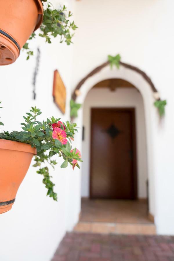 Appartamento Haus Berta Leutasch Esterno foto